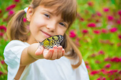 Antalya Butterfly World and Aquarium day out with transfers