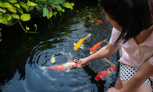 Antalya Butterfly World and Aquarium day out with transfers