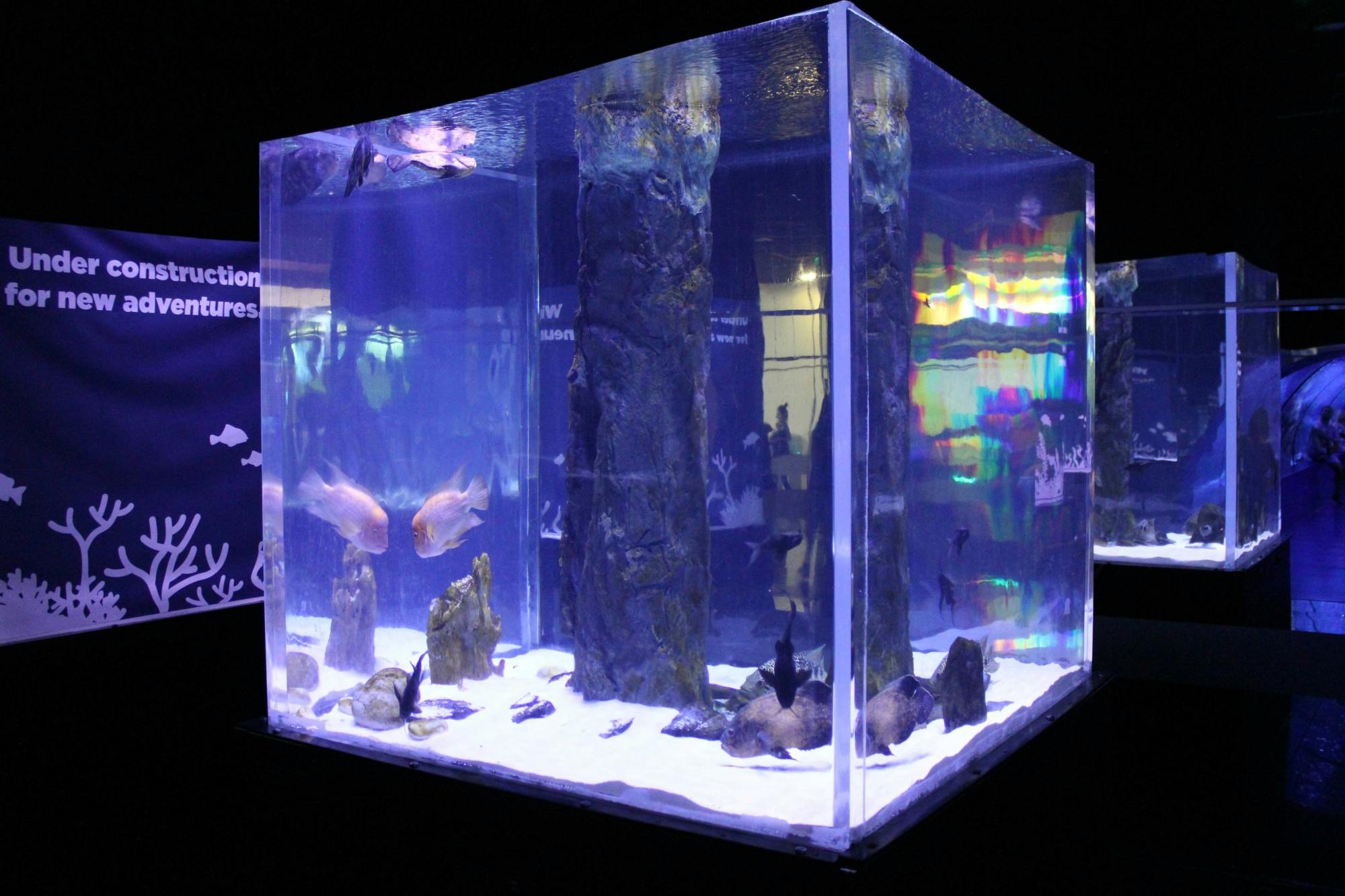 Antalya Butterfly World and Aquarium day out with transfers