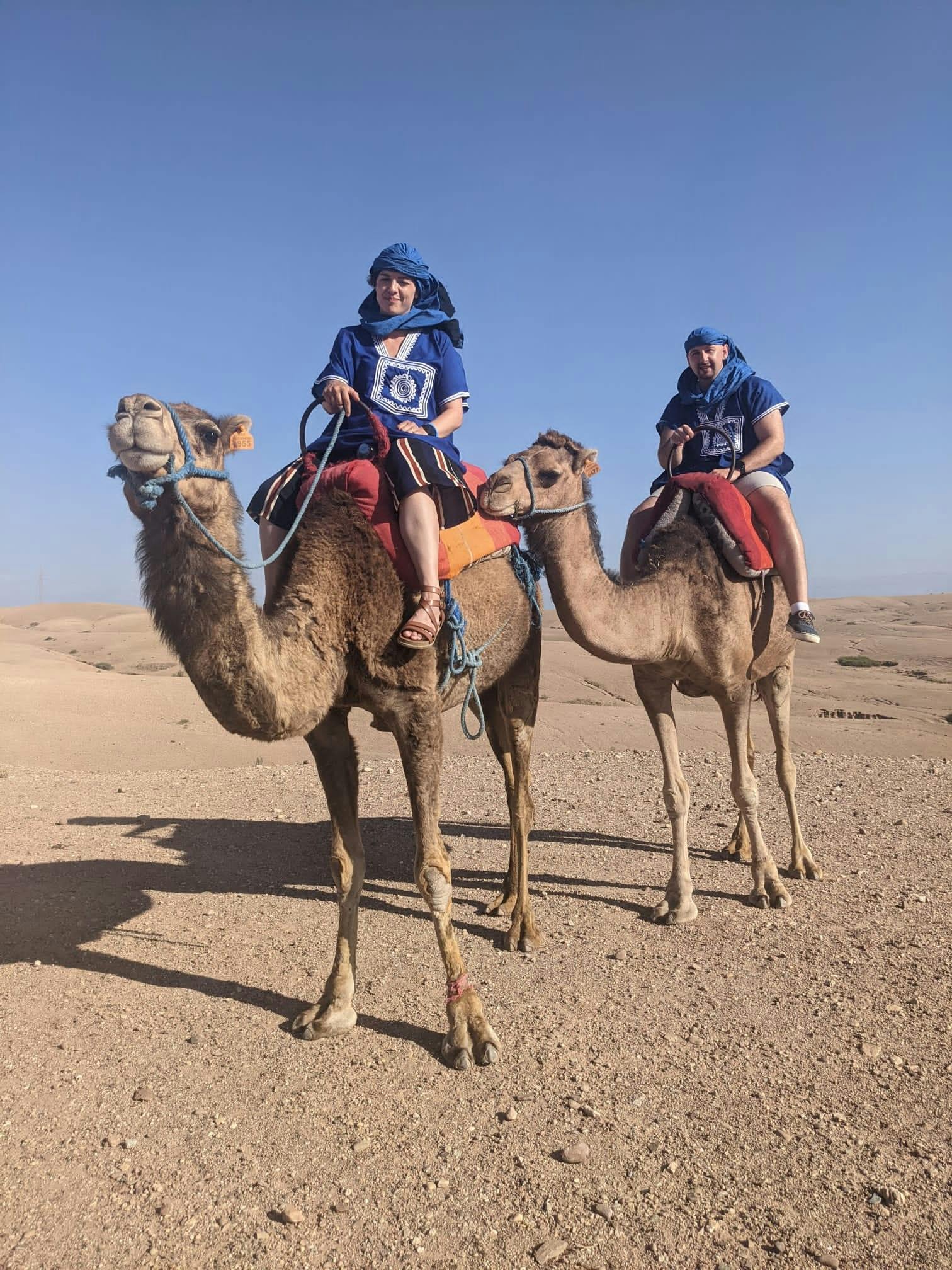 Agafay Desert Camel Ride - Guided Sightseeing Tour Agafay Desert Camel Ride - Guided Sightseeing Tour