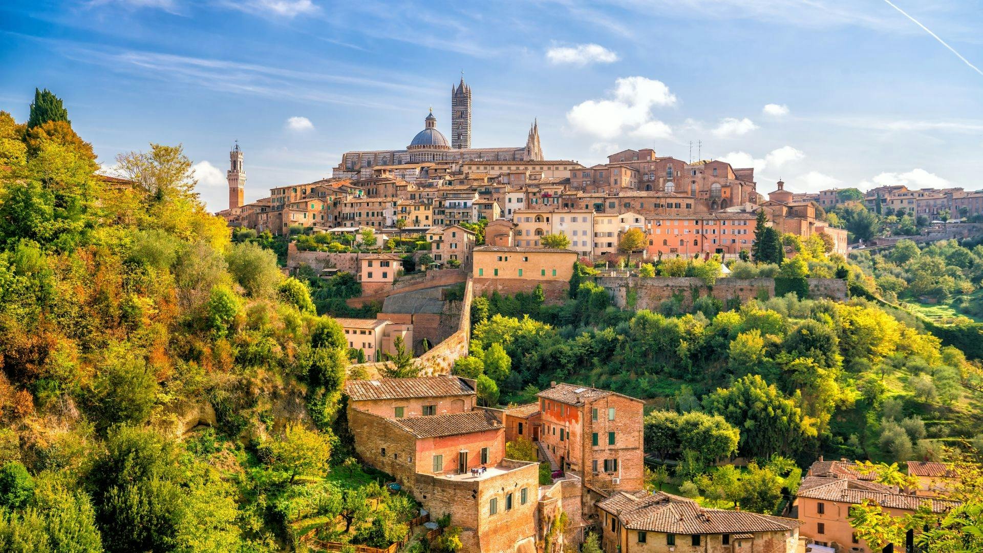Siena private walking tour with a local