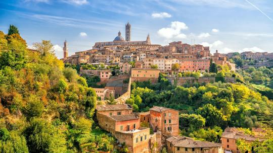 Siena private walking tour with a local