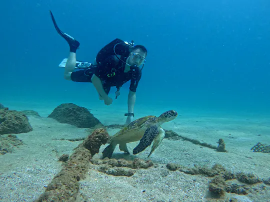 Fujairah two dives for certified divers with Dubai transfer