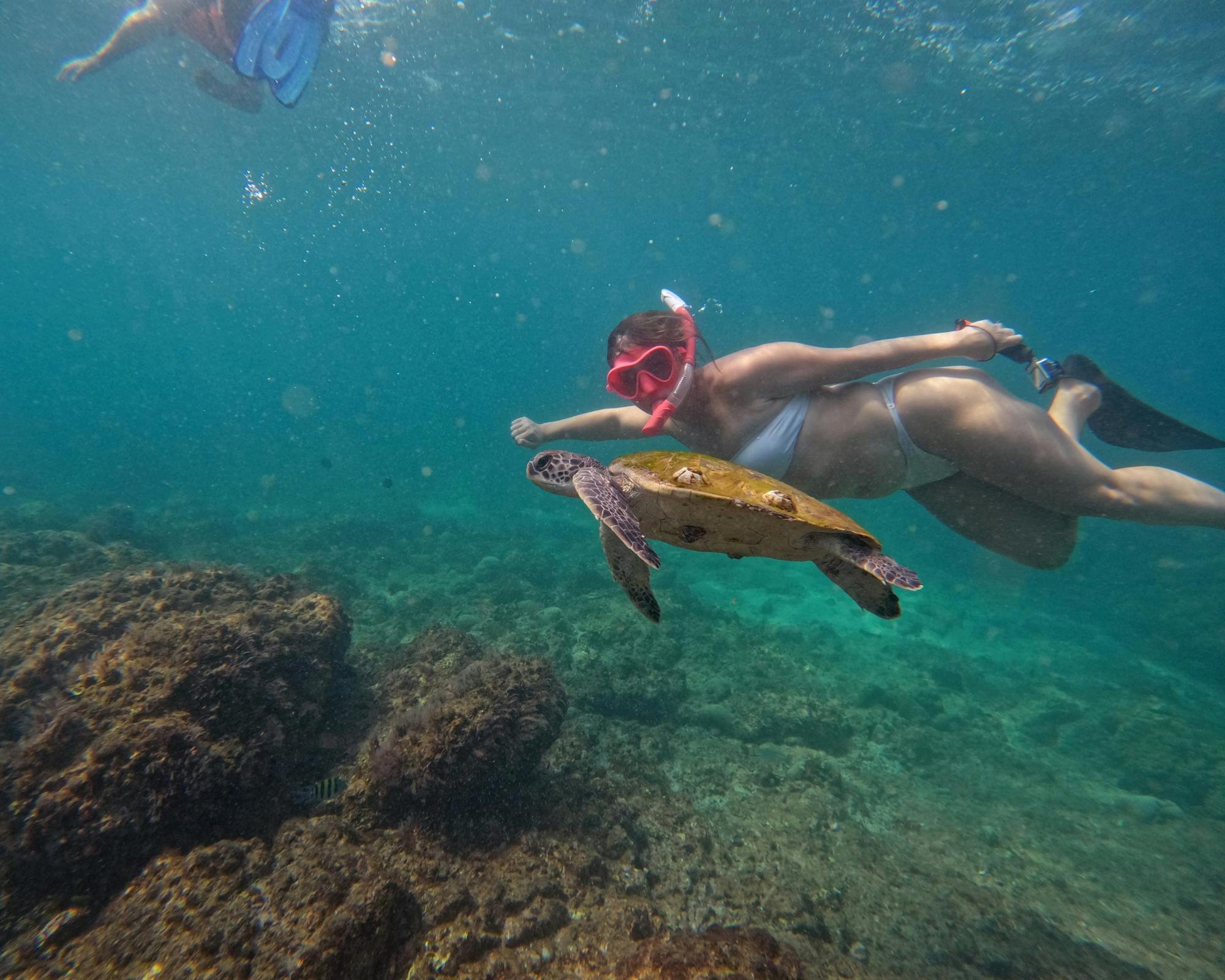 Fujairah snorkelling adventure