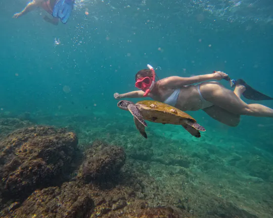 Fujairah snorkelling adventure