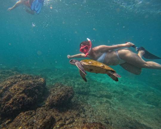 Fujairah snorkelling adventure