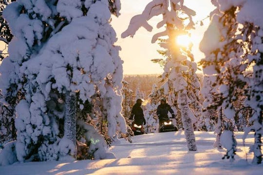 Motoneiges et huskies en Laponie