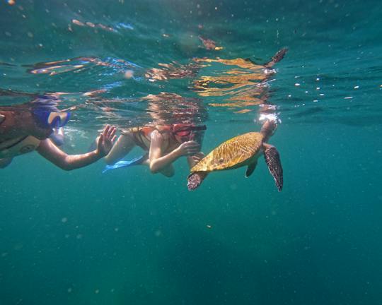 Fujairah snorkelling experience with transfer from Dubai
