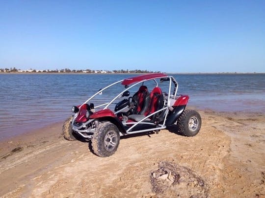 Excursion en buggy à Djerba
