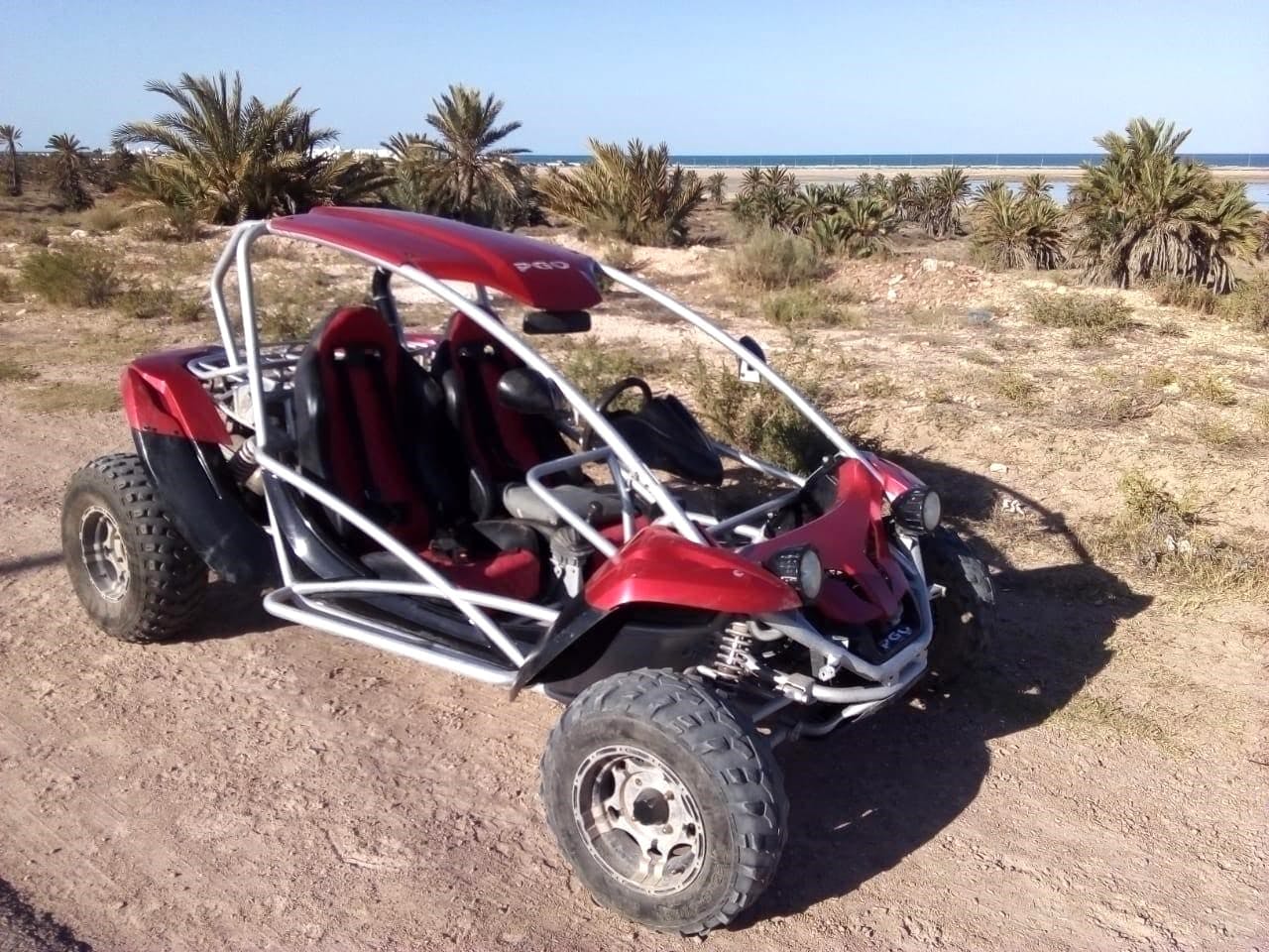 Djerba buggy safari