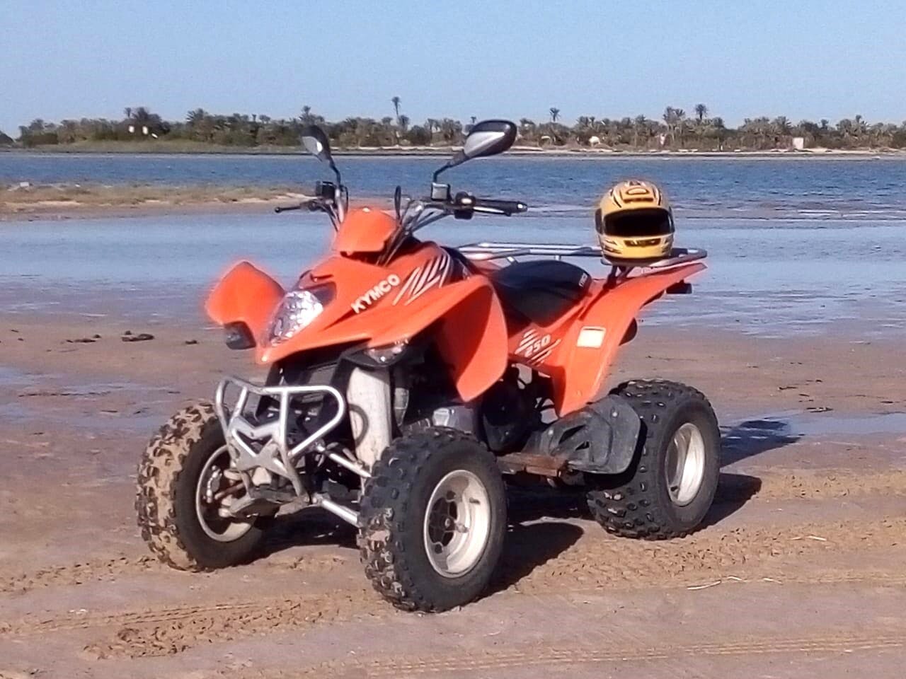 Djerba quad bike safari ticket
