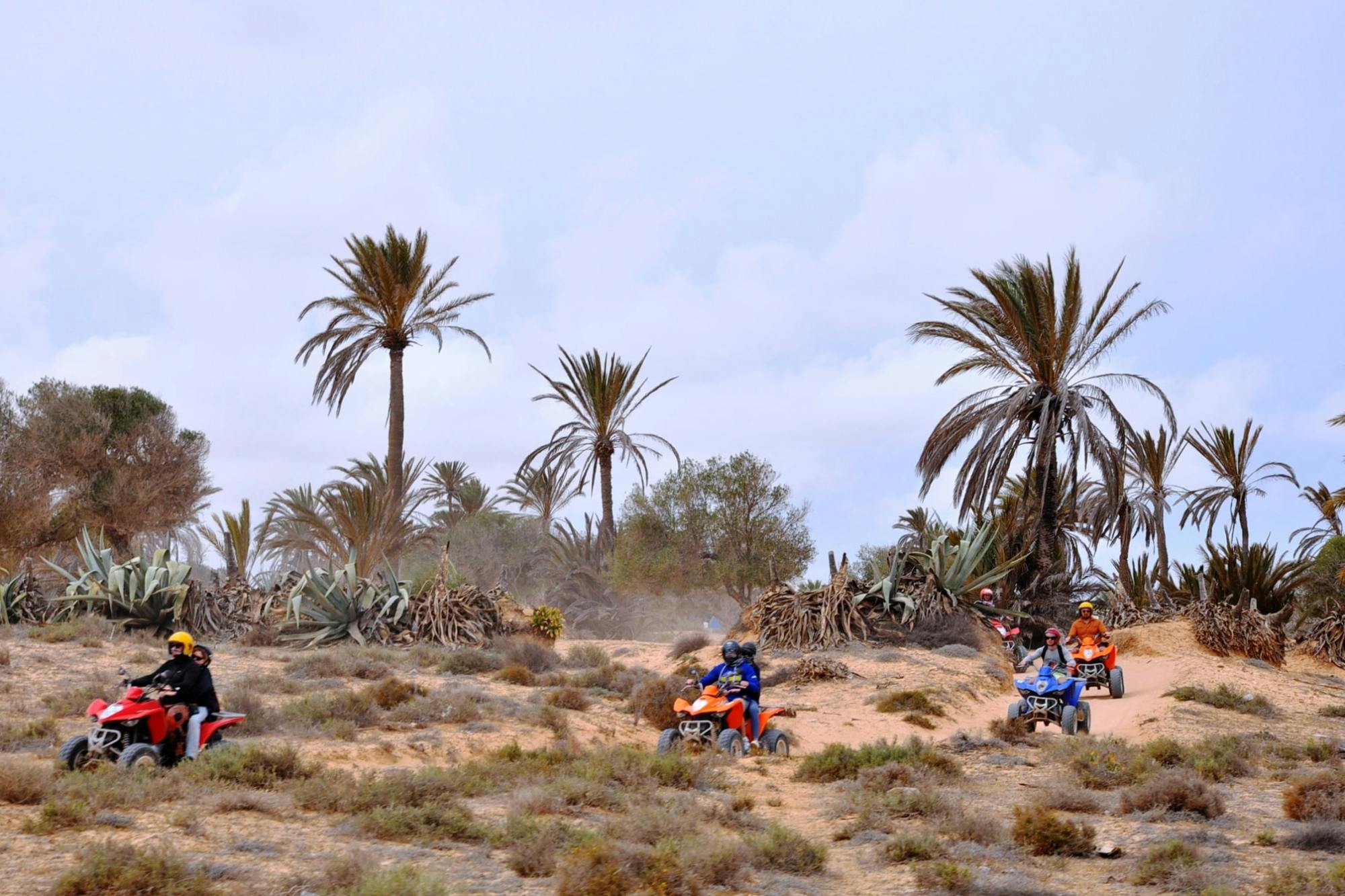 Djerba quad bike safari ticket