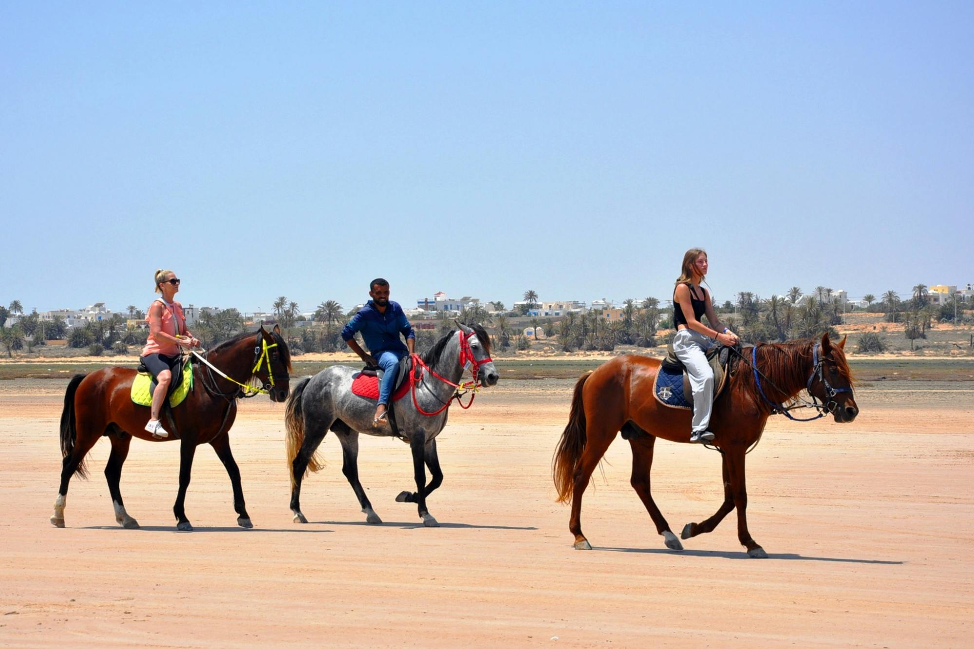 Djerba Dromedary camel tour