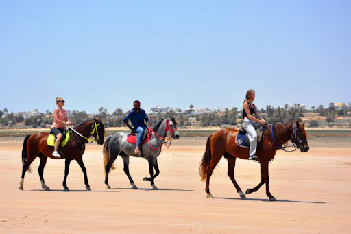 Djerba Dromedary camel tour