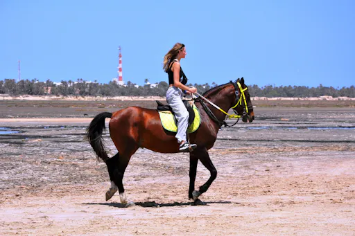 Djerba Dromedary camel tour
