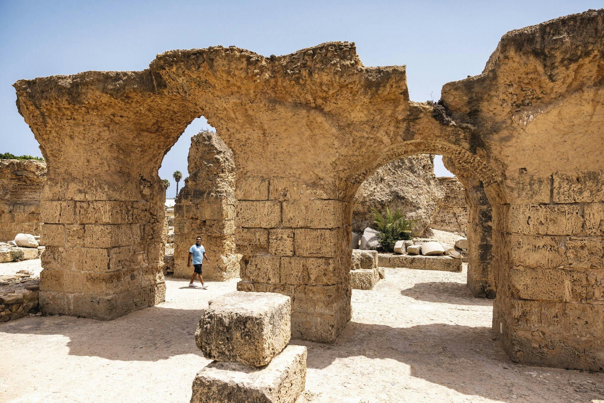 Full-day Carthage ruins and Sidi Bou Said tour from Hammamet