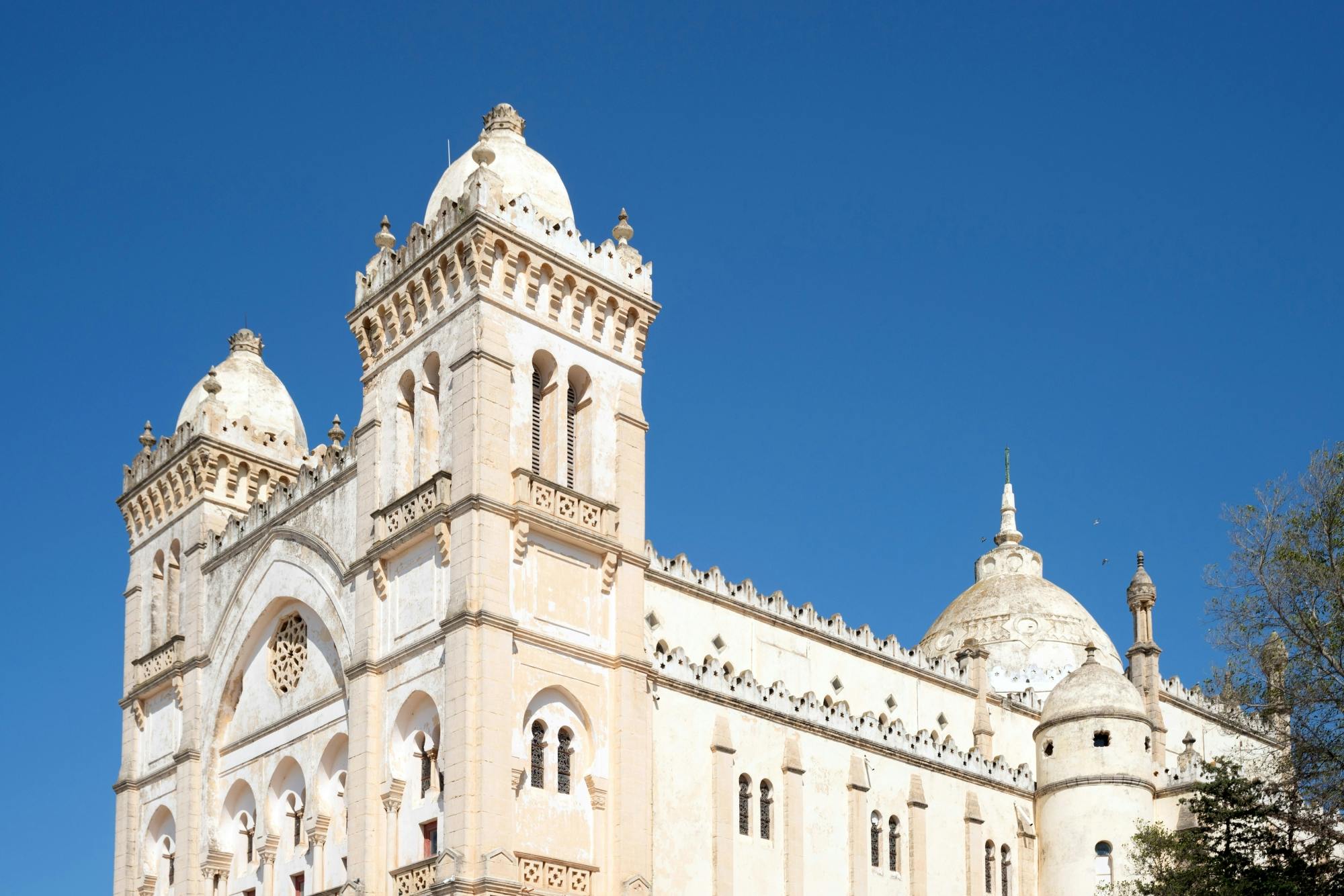 Full-day Carthage ruins and Sidi Bou Said tour from Hammamet