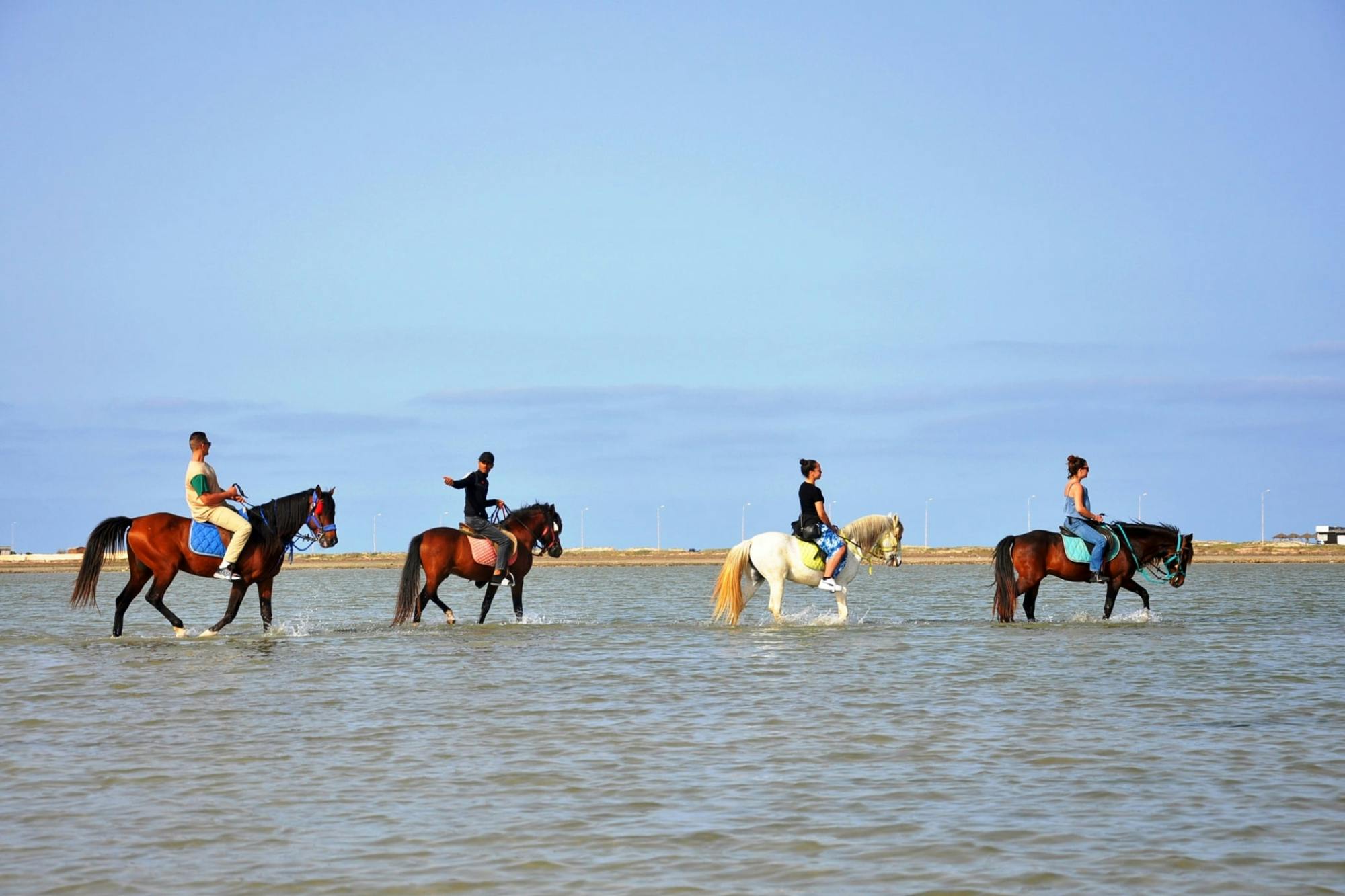 Djerba Dromedary camel tour
