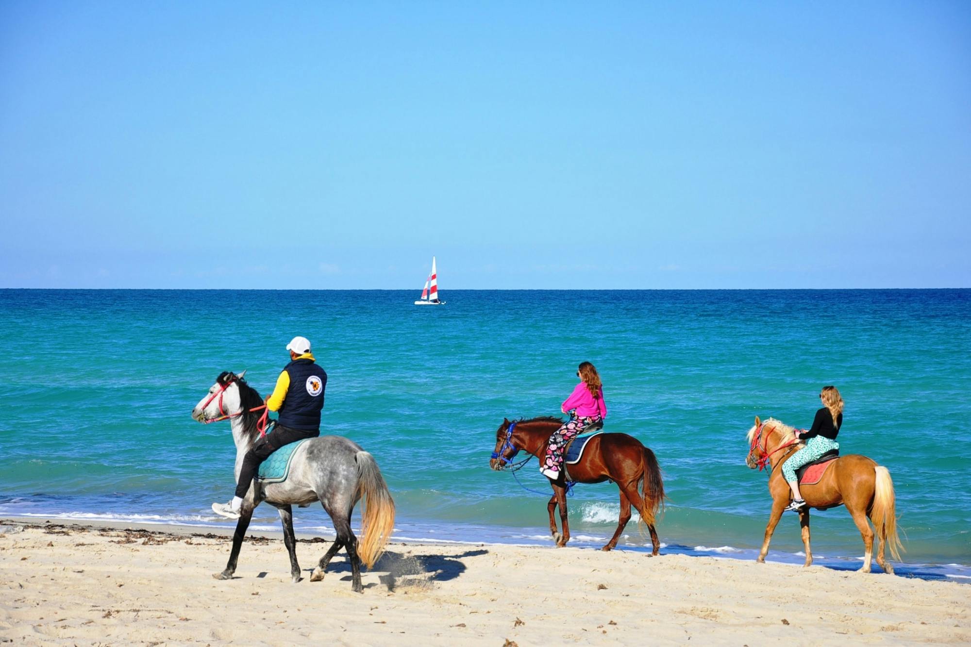 Djerba Dromedary camel tour