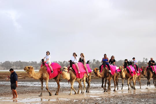 Djerba Dromedary camel tour