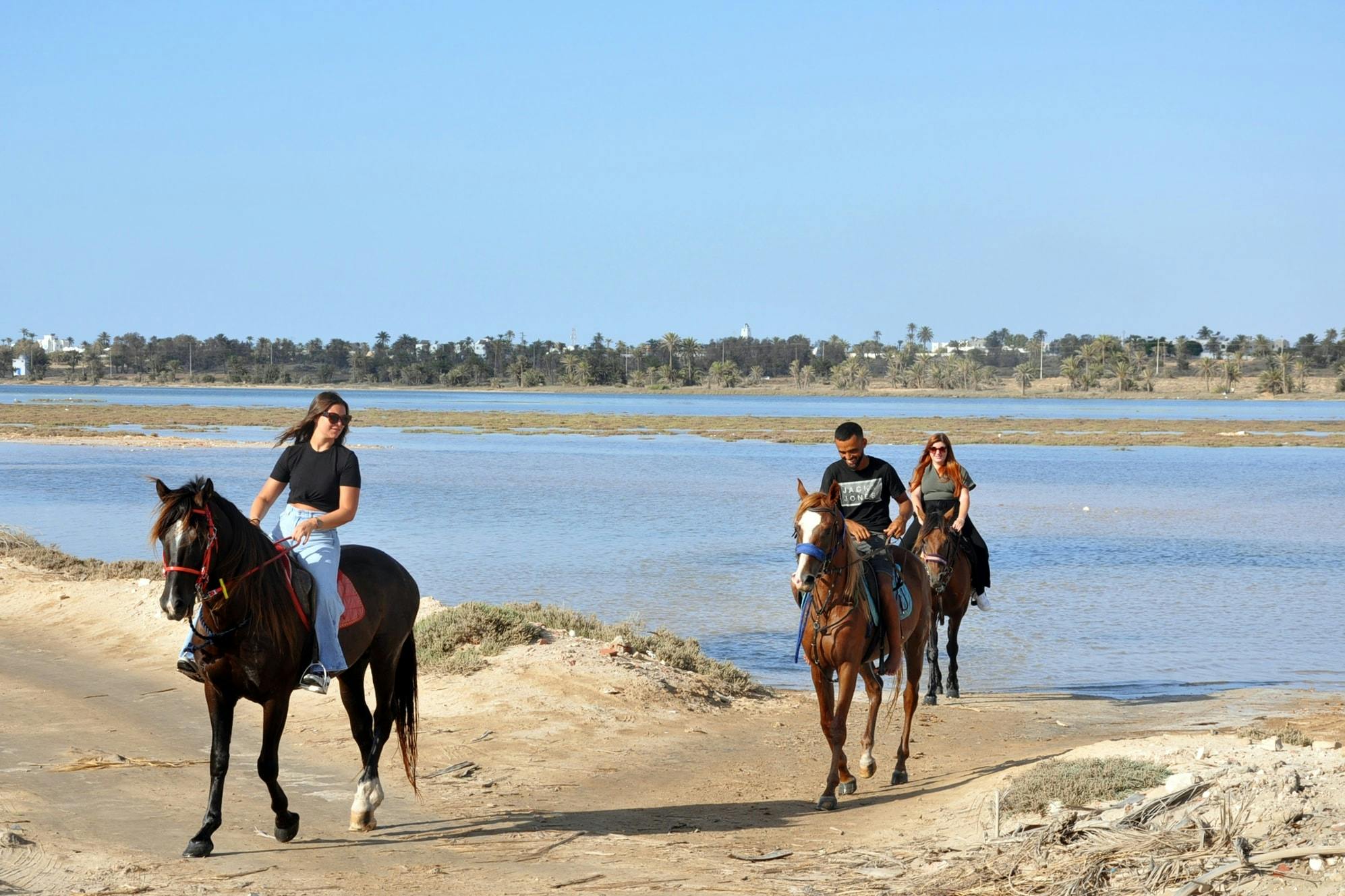 Djerba Dromedary camel tour