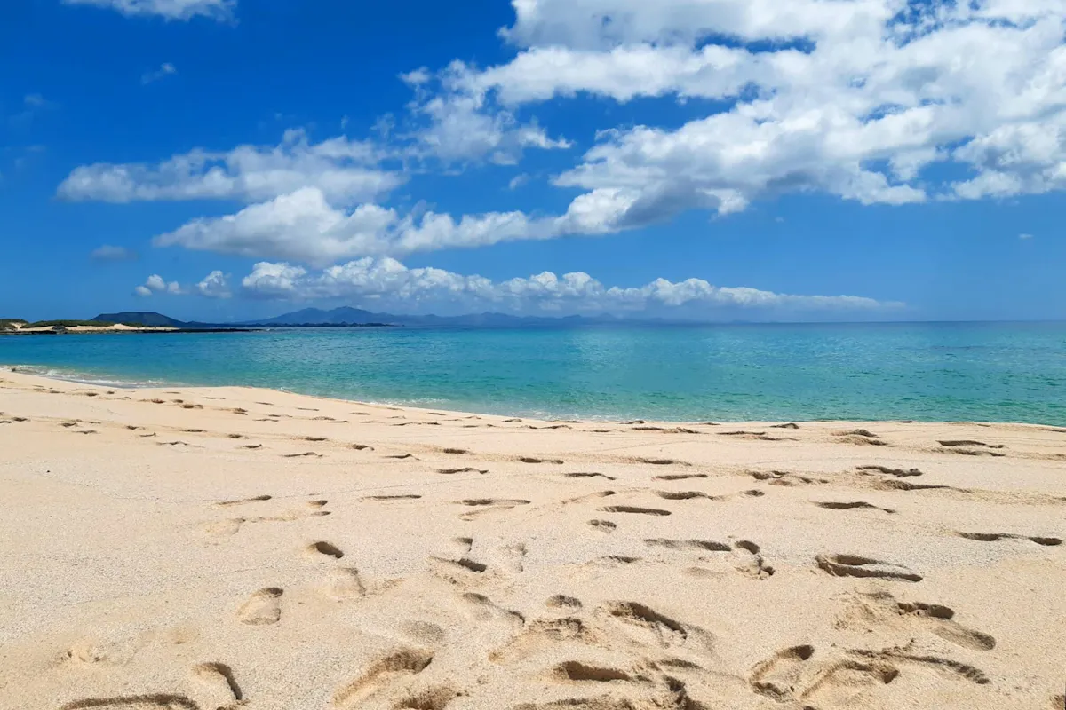 Corralejo Dunes, Campanario Market and free time in Corralejo