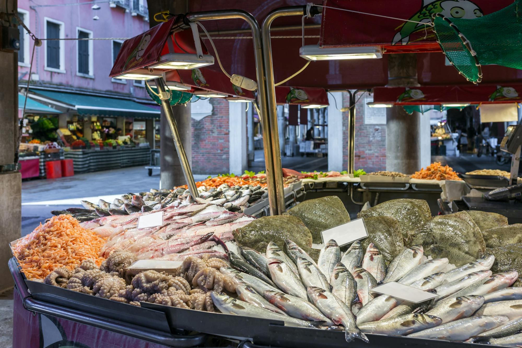 Venice walking food tour with tastings