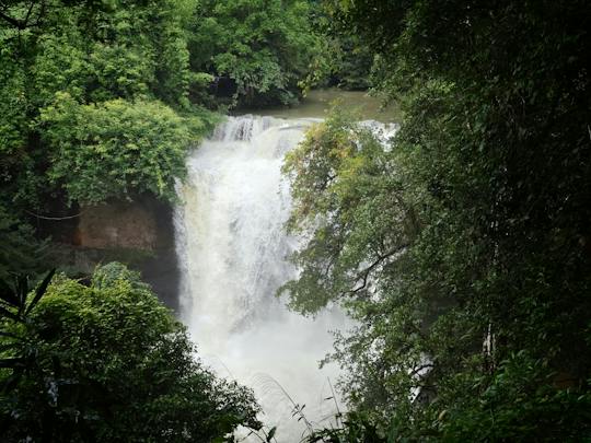 Khao Yai adventure tour with waterfall hike and local cuisine