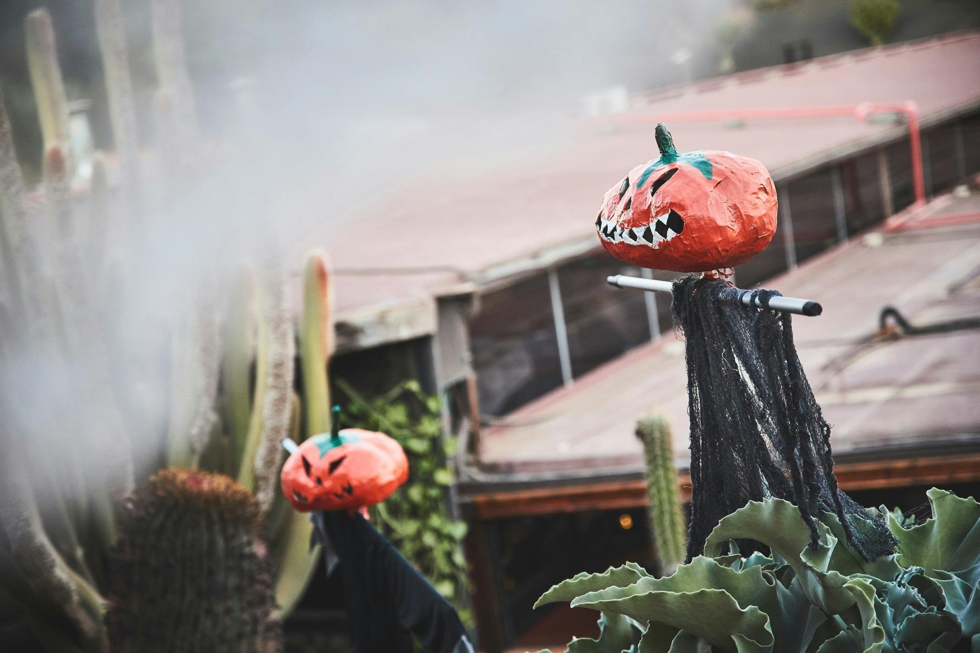 3PC_Spain_Lanzarote_Country_&_Western_Halloween_Night_31.jpg