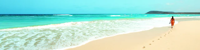 Kite Beach
