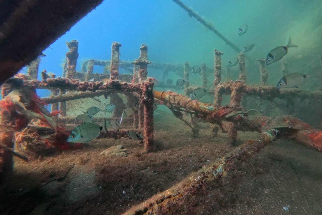 Supervised scuba diving experience in Sousse