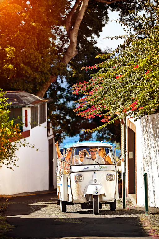 Madeira tailored tuk-tuk taxi tour from Funchal