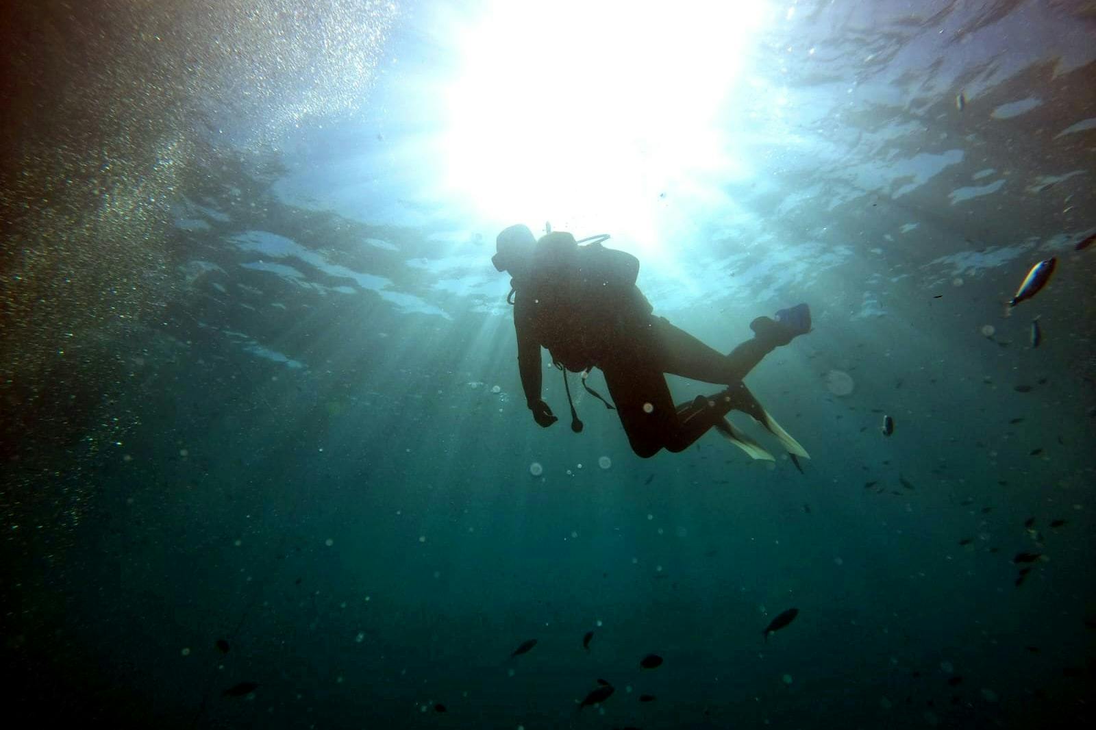Supervised scuba diving experience in Sousse