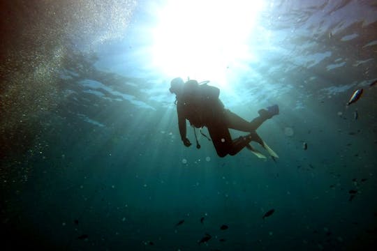 Supervised scuba diving experience in Sousse