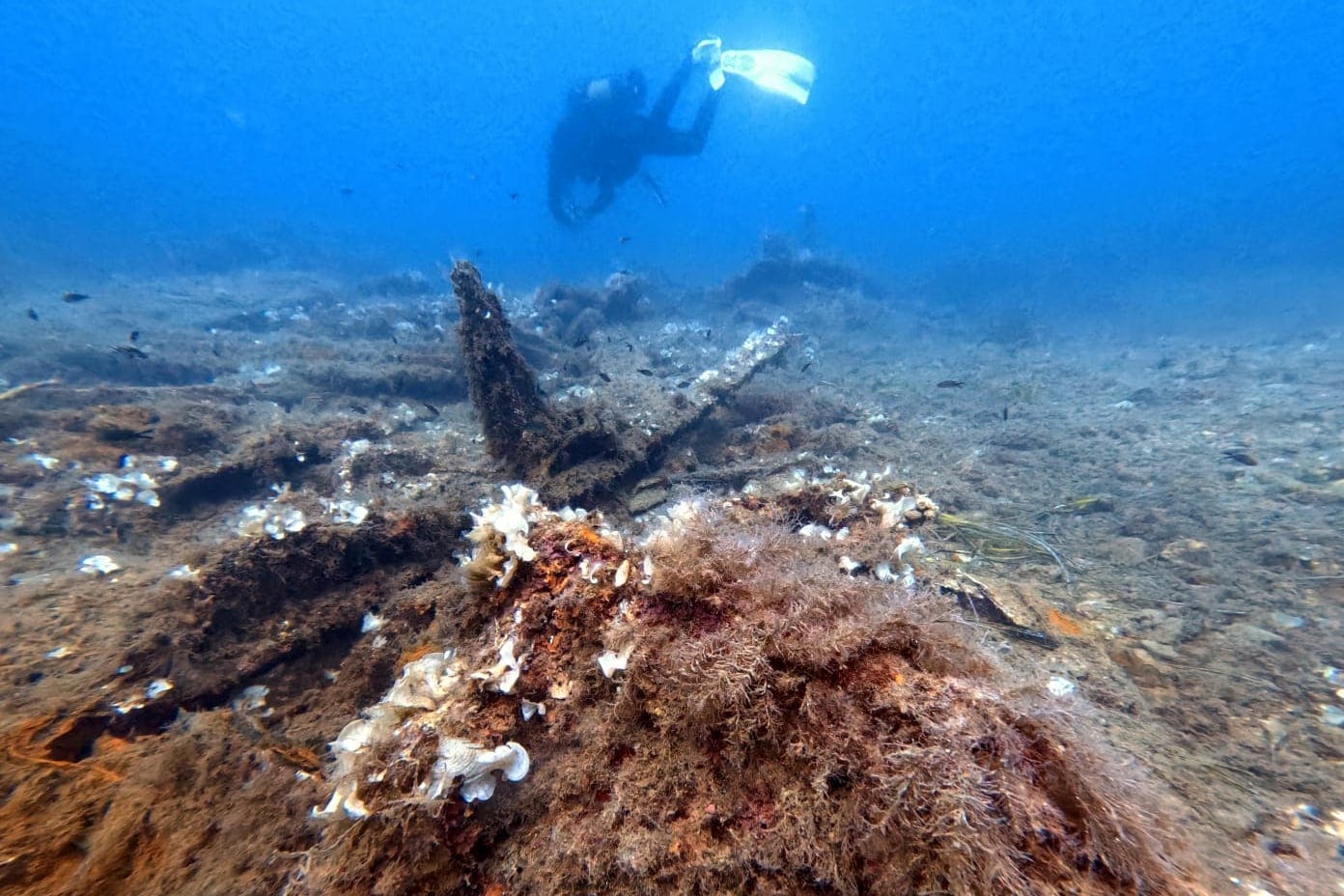 Supervised scuba diving experience in Sousse