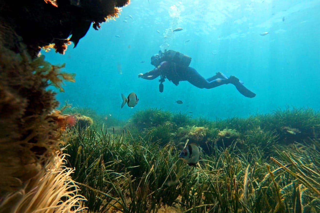 Supervised scuba diving experience in Sousse