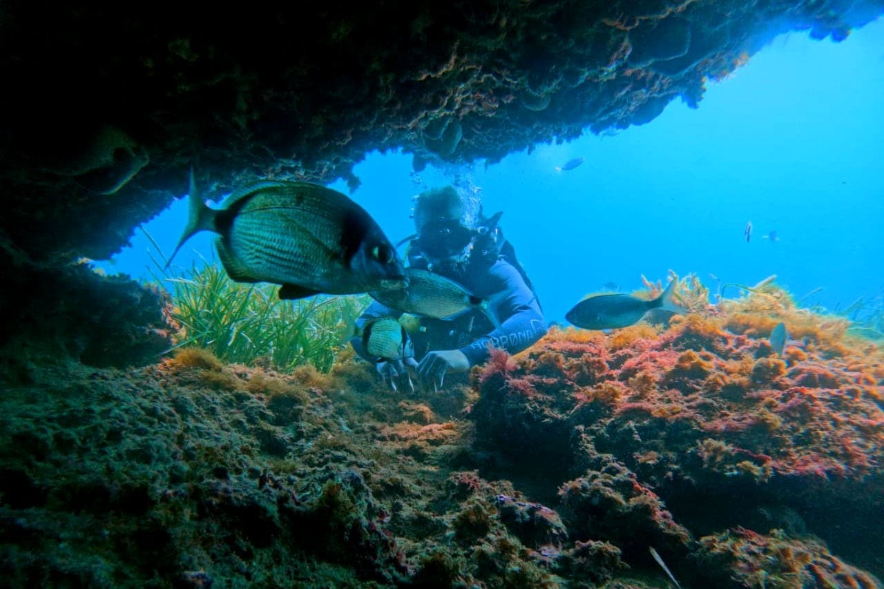 Supervised scuba diving experience in Sousse