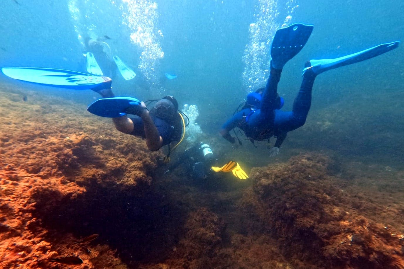 Supervised scuba diving experience in Sousse