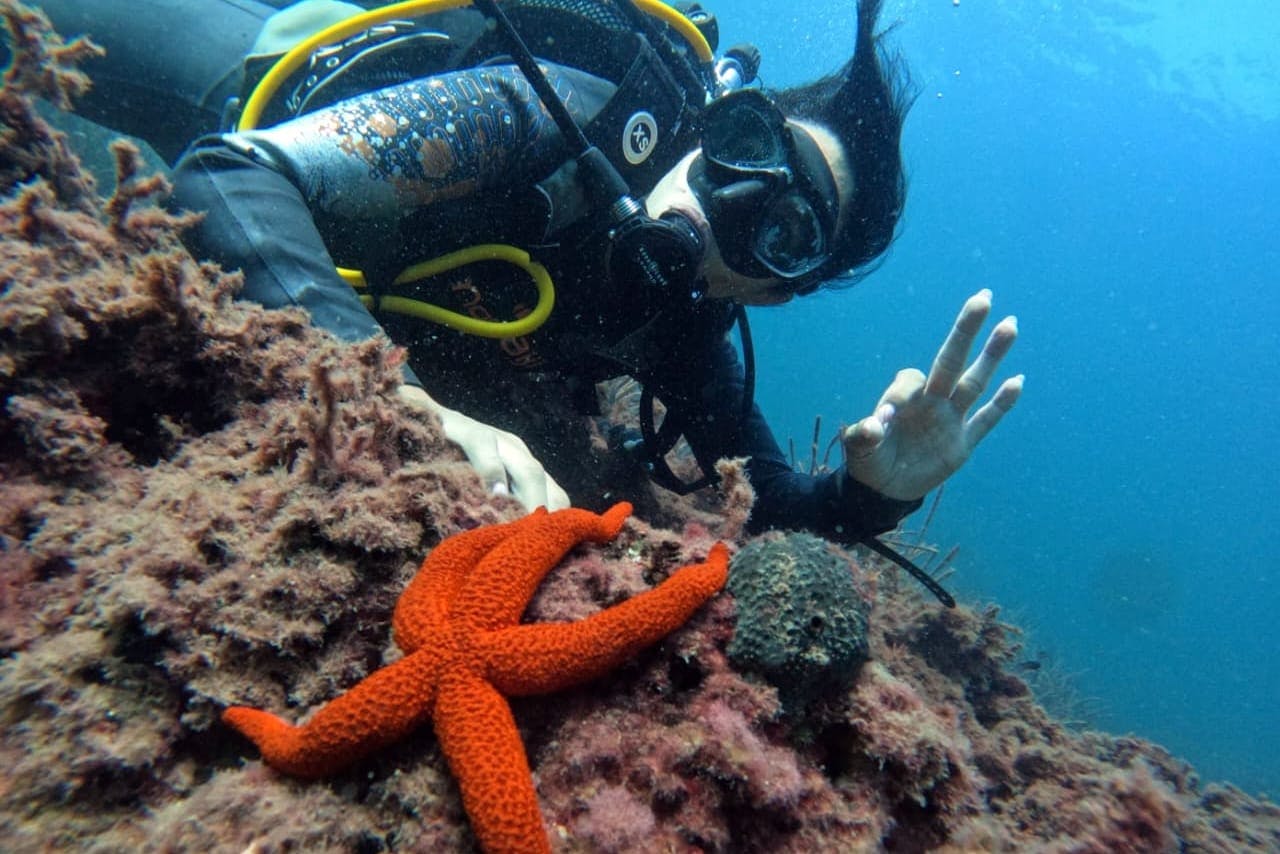 Supervised scuba diving experience in Sousse