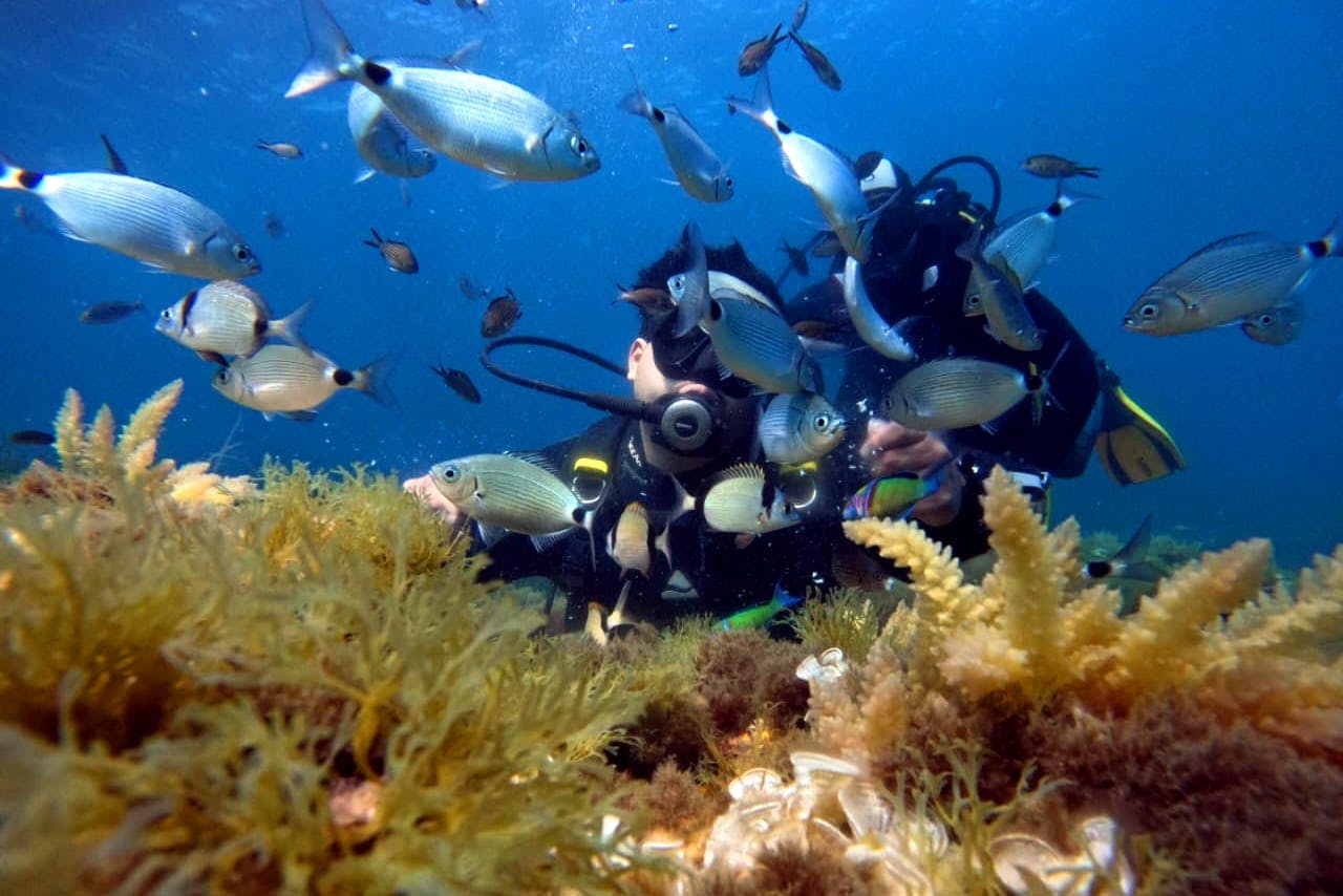 Supervised scuba diving experience in Sousse