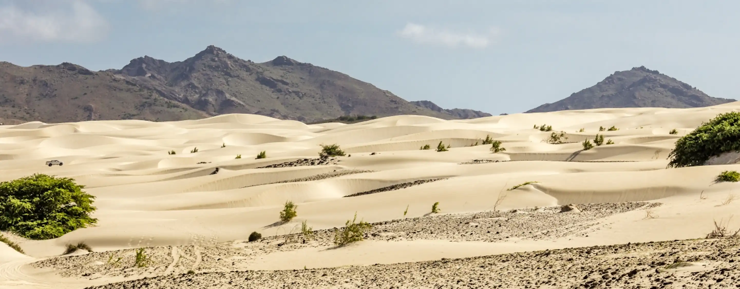 Viana Desert