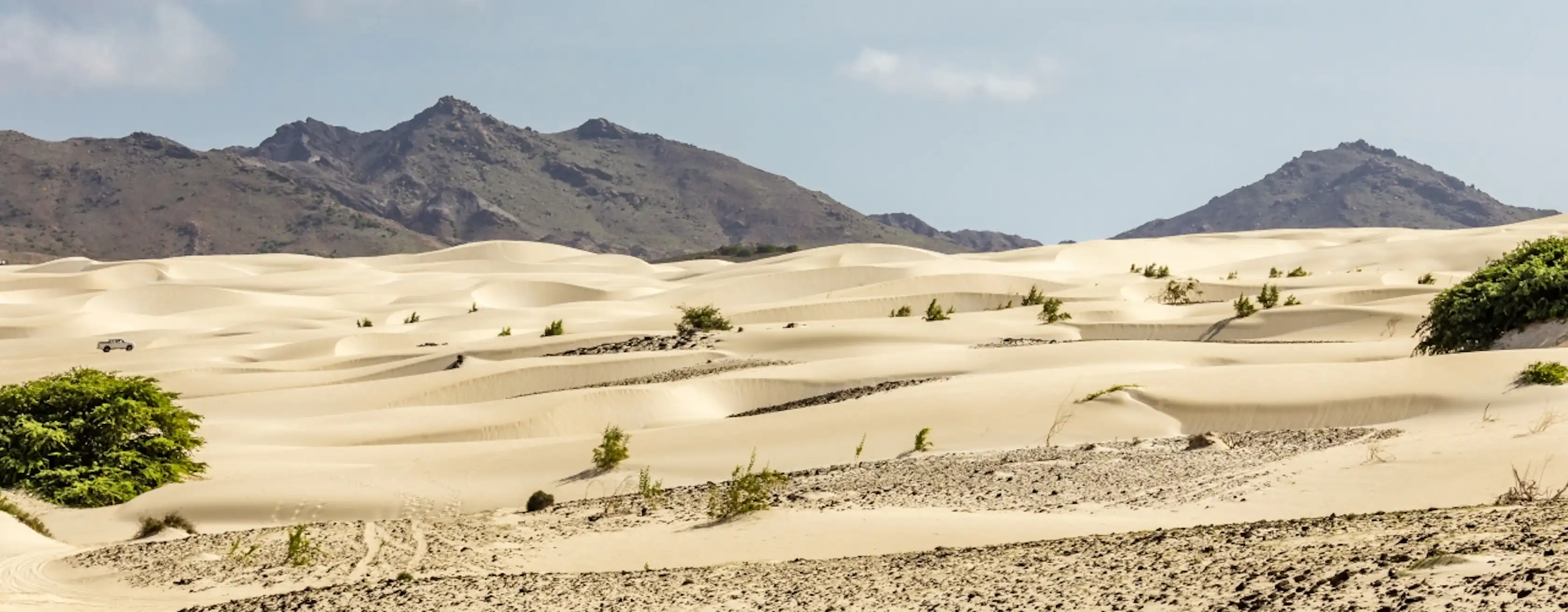 Viana Desert: entradas y tours