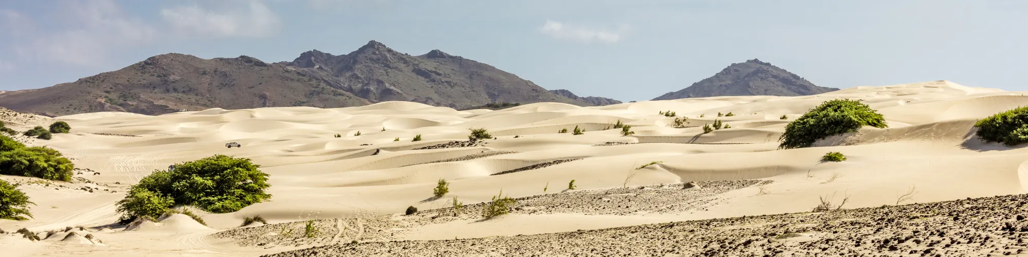 Viana Desert