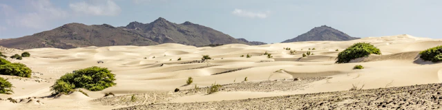 Viana Desert