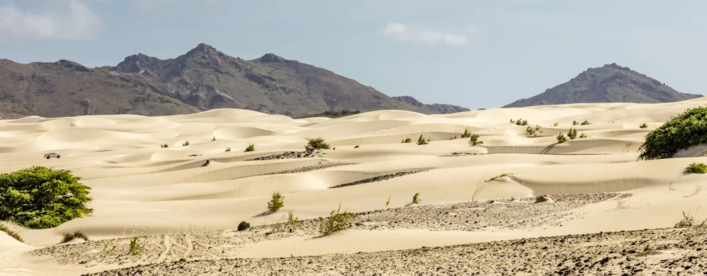 Viana Desert