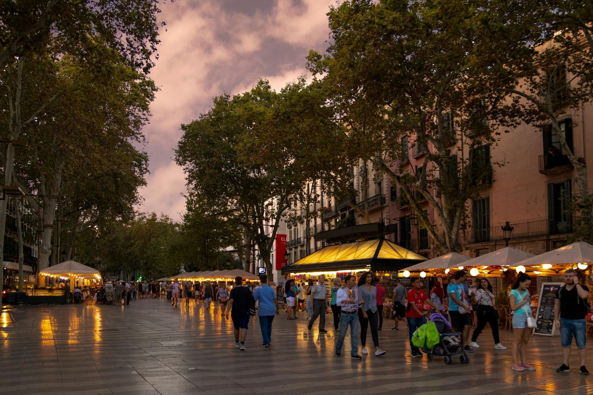 Barcelona city and Montjuic Magic Fountain day trip