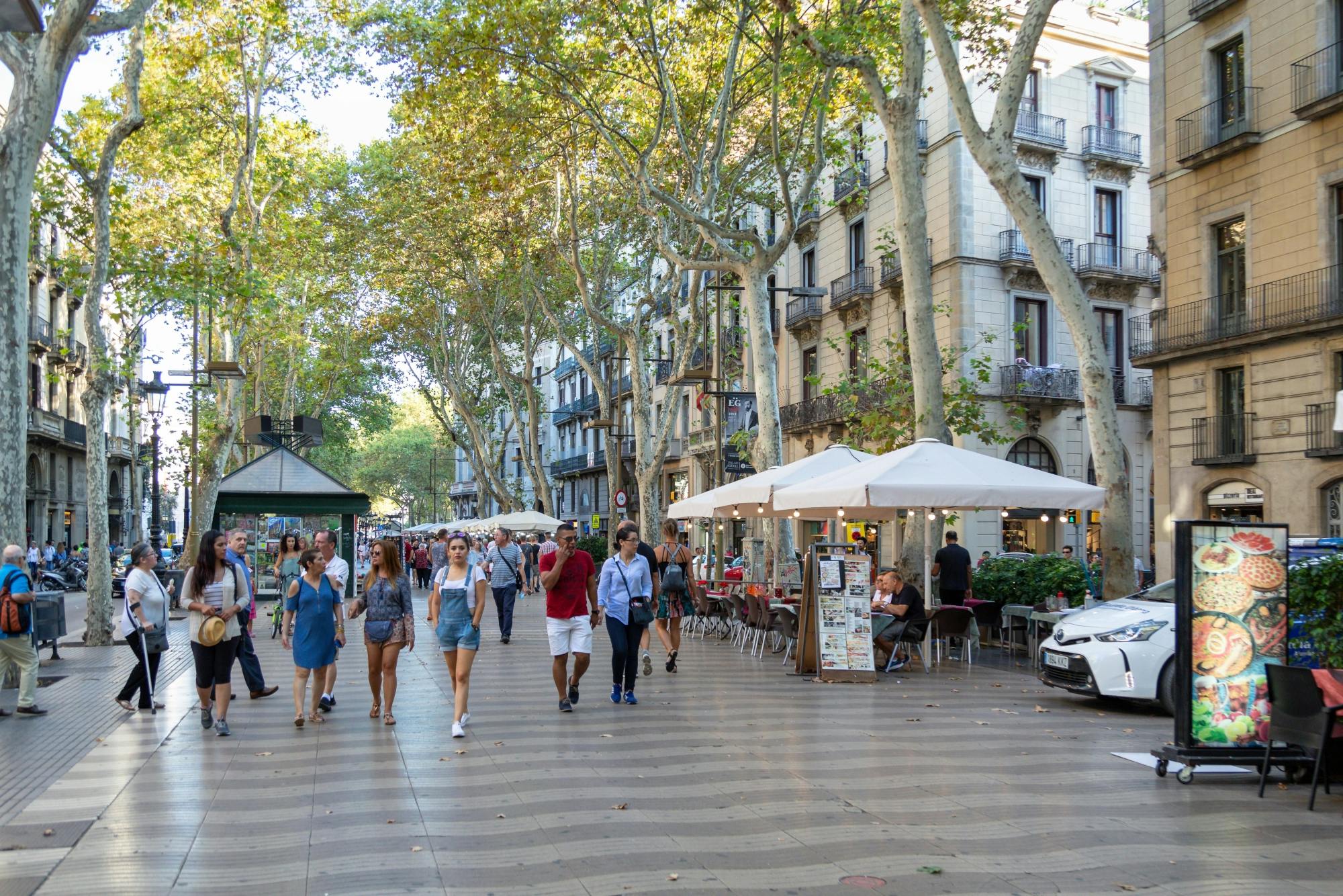 Barcelona city and Montjuic Magic Fountain day trip