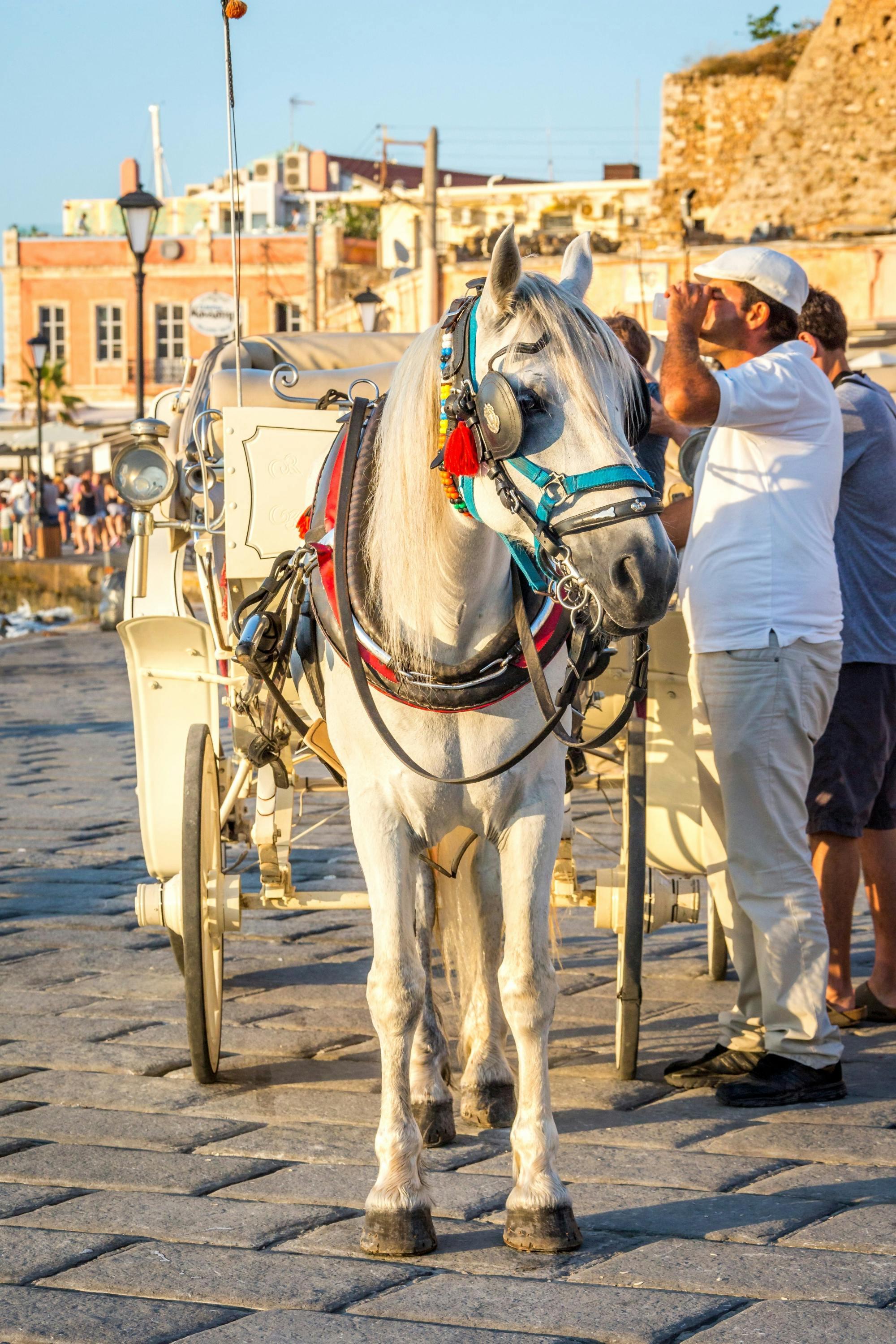 Chania Highlights, Agia Triada Monastery and Stavros Beach tour