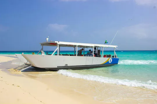 Excursão de mergulho com snorkel em Zanzibar ao banco de areia de Nyange, com almoço de churrasco