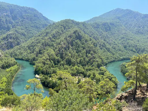 Monster buggy and truck, jet boat and zip-line tour with boat cruise and lunch
